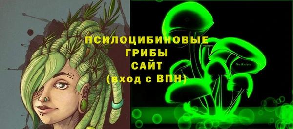 ПСИЛОЦИБИНОВЫЕ ГРИБЫ Пестово